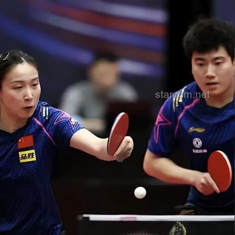 世乒赛震撼瞬间：林诗栋VS梁靖崑，球迷反应引热议的背后故事